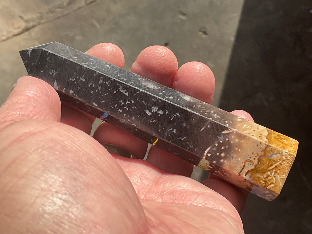 105g Indonesian Fossilized Palm Root Generator A