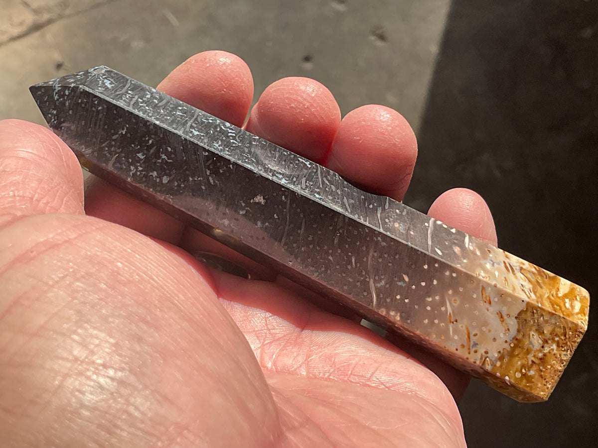 105g Indonesian Fossilized Palm Root Generator A