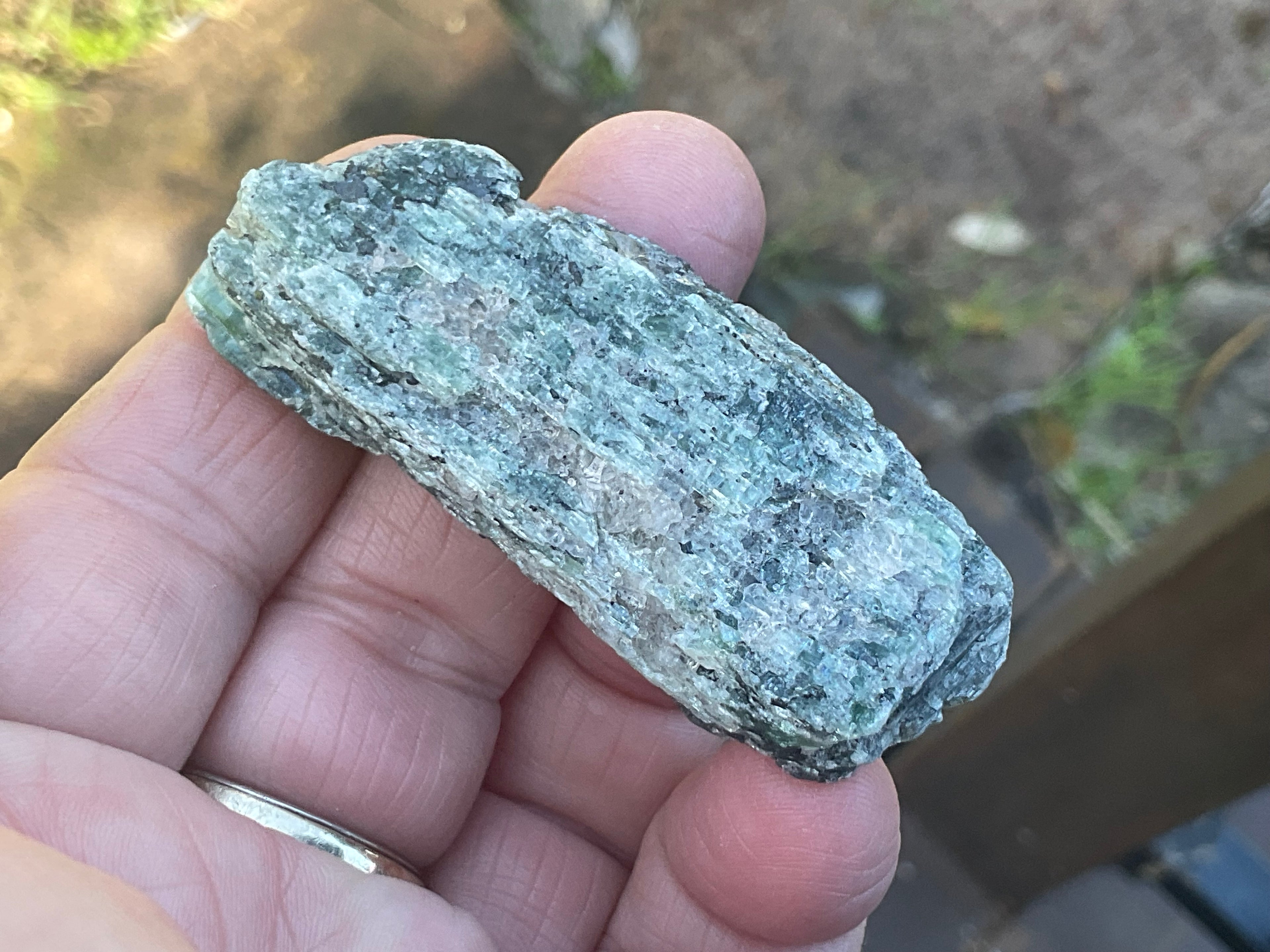 44g Dark Green Pakistan Kyanite Rough +9B