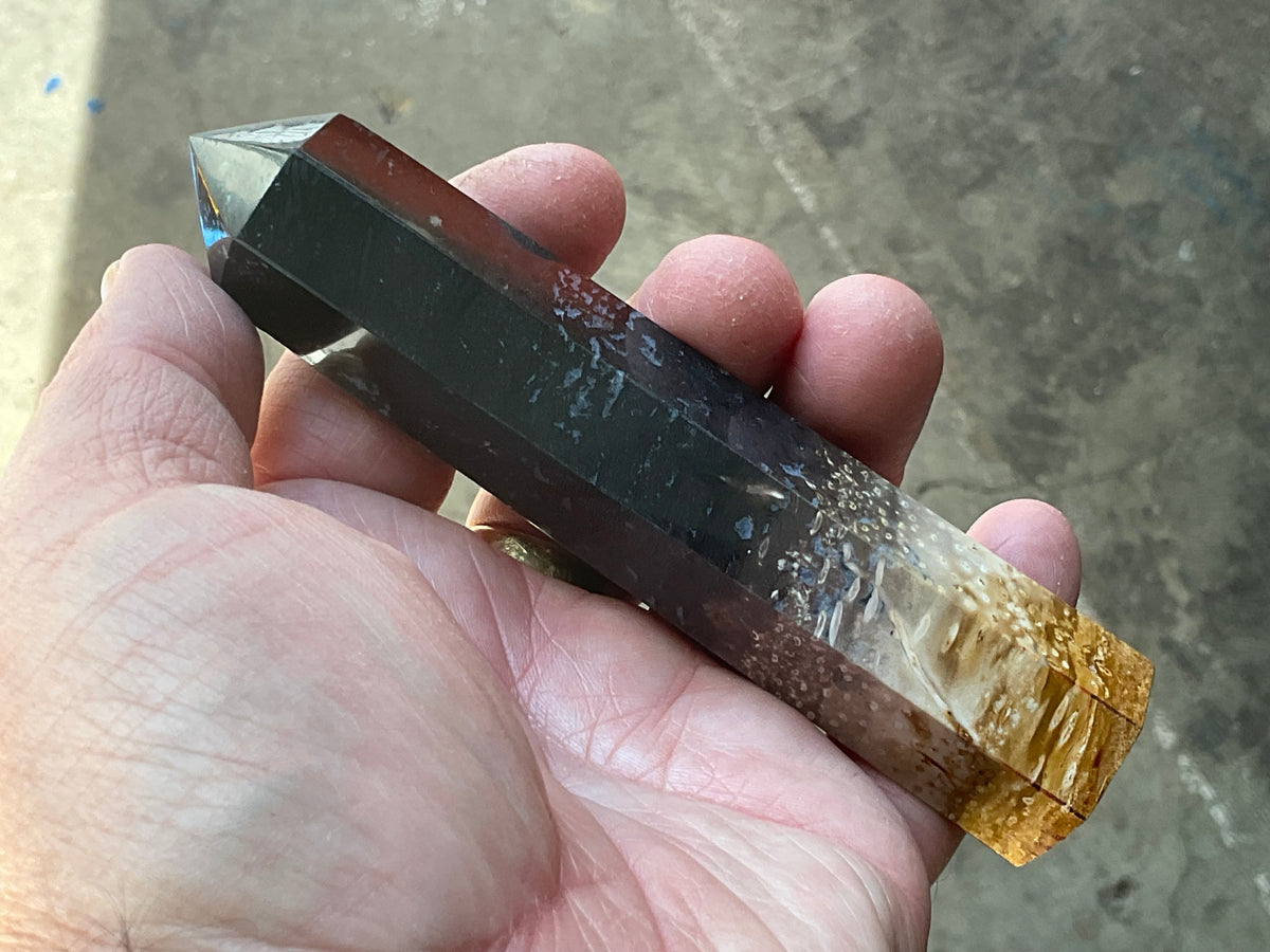 118g Indonesian Fossilized Palm Root Generator B
