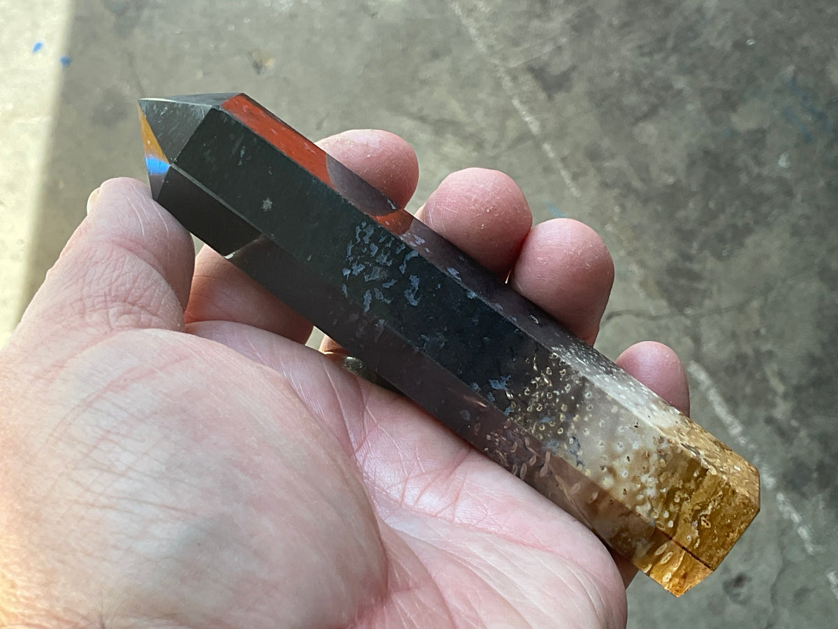 118g Indonesian Fossilized Palm Root Generator B