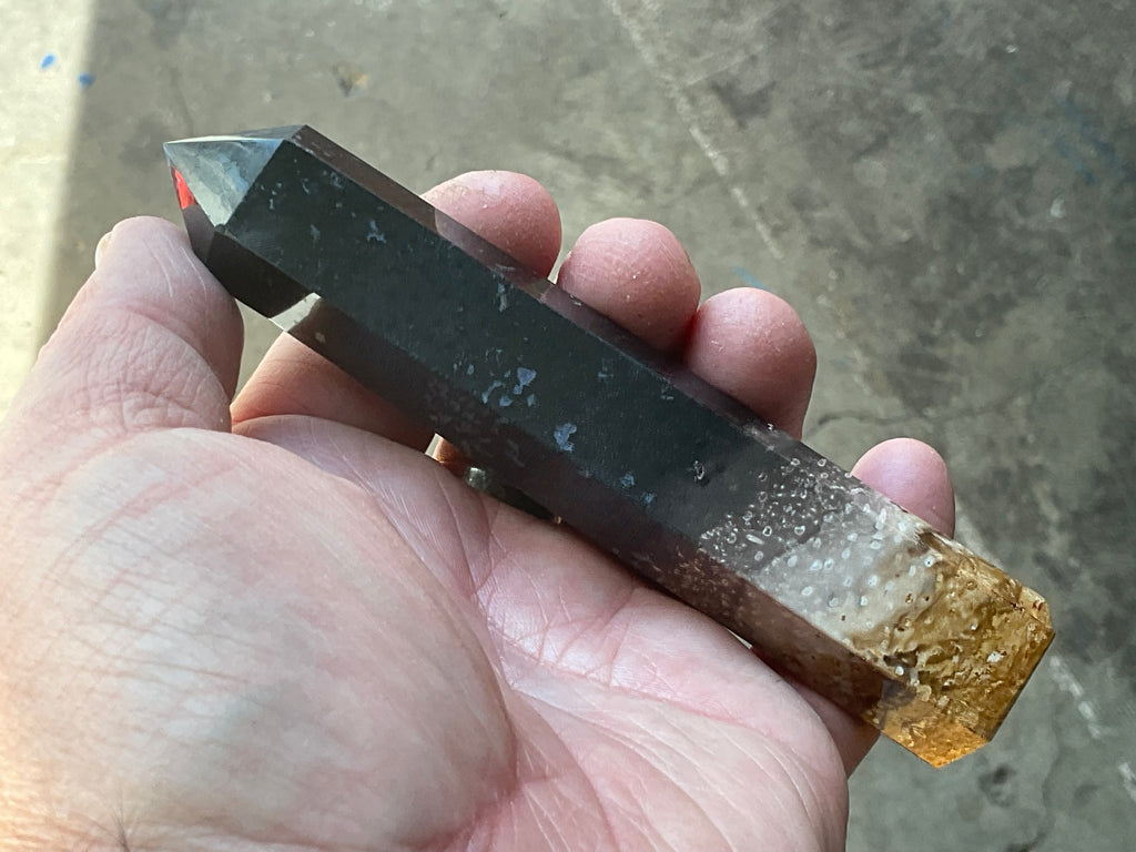 118g Indonesian Fossilized Palm Root Generator B