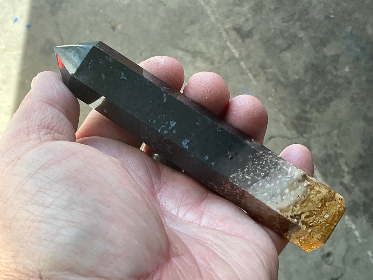118g Indonesian Fossilized Palm Root Generator B