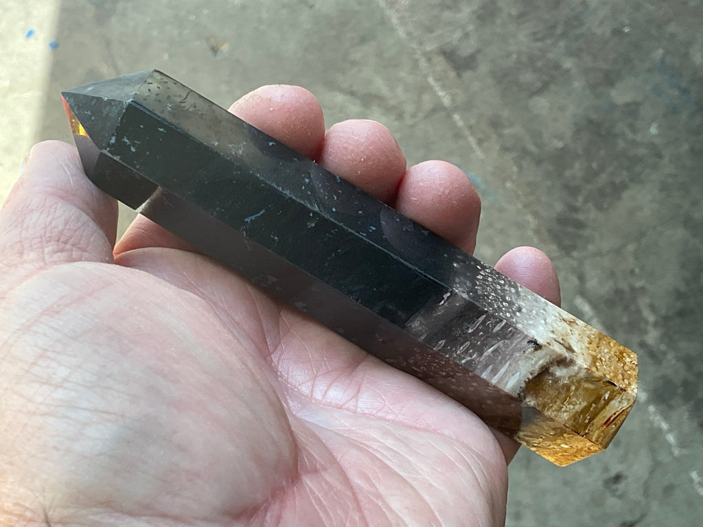 118g Indonesian Fossilized Palm Root Generator B