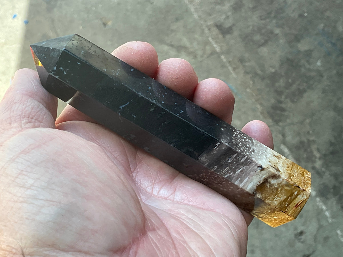 118g Indonesian Fossilized Palm Root Generator B