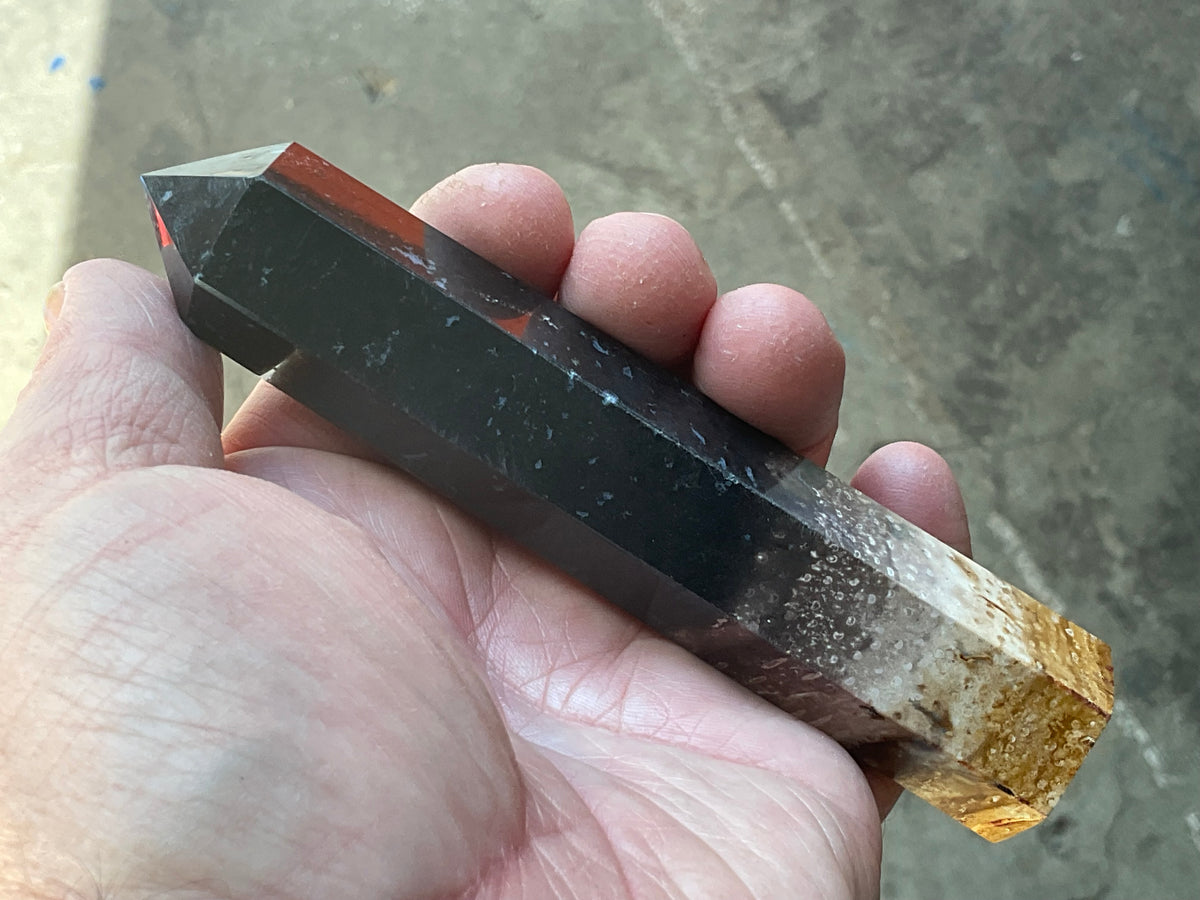 118g Indonesian Fossilized Palm Root Generator B