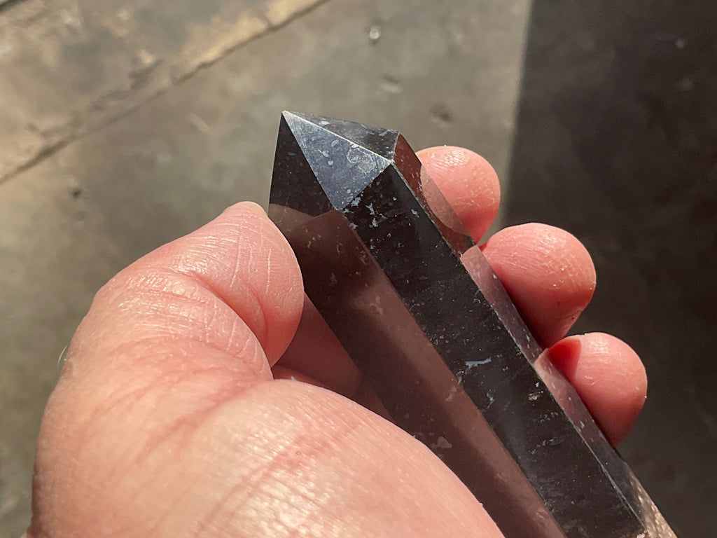 118g Indonesian Fossilized Palm Root Generator B