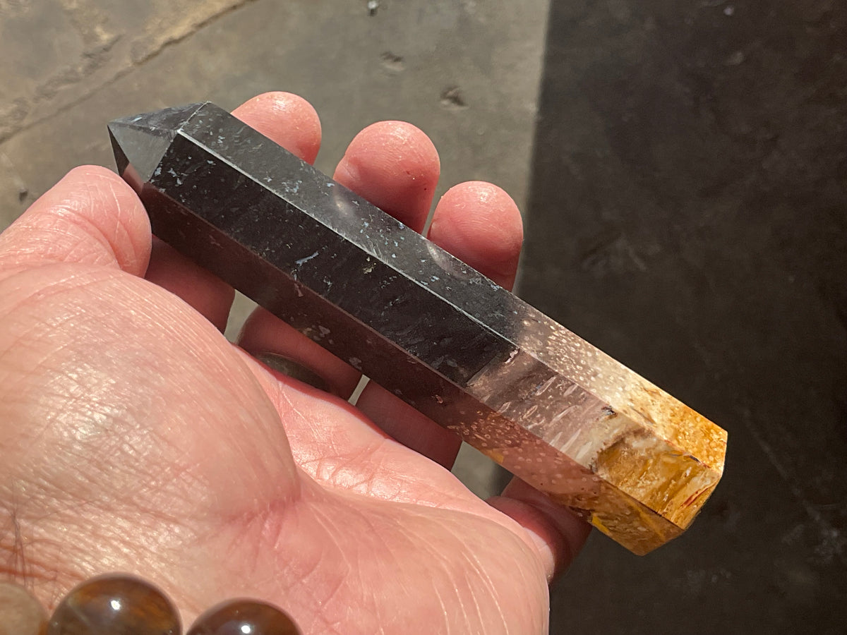 118g Indonesian Fossilized Palm Root Generator B