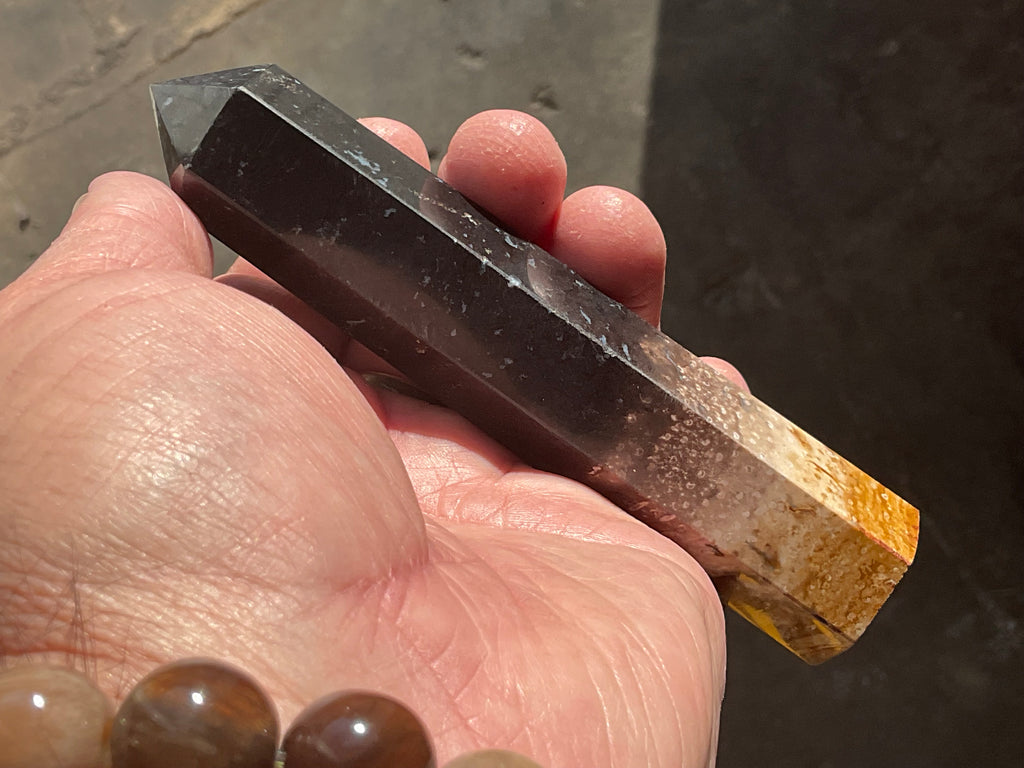 118g Indonesian Fossilized Palm Root Generator B