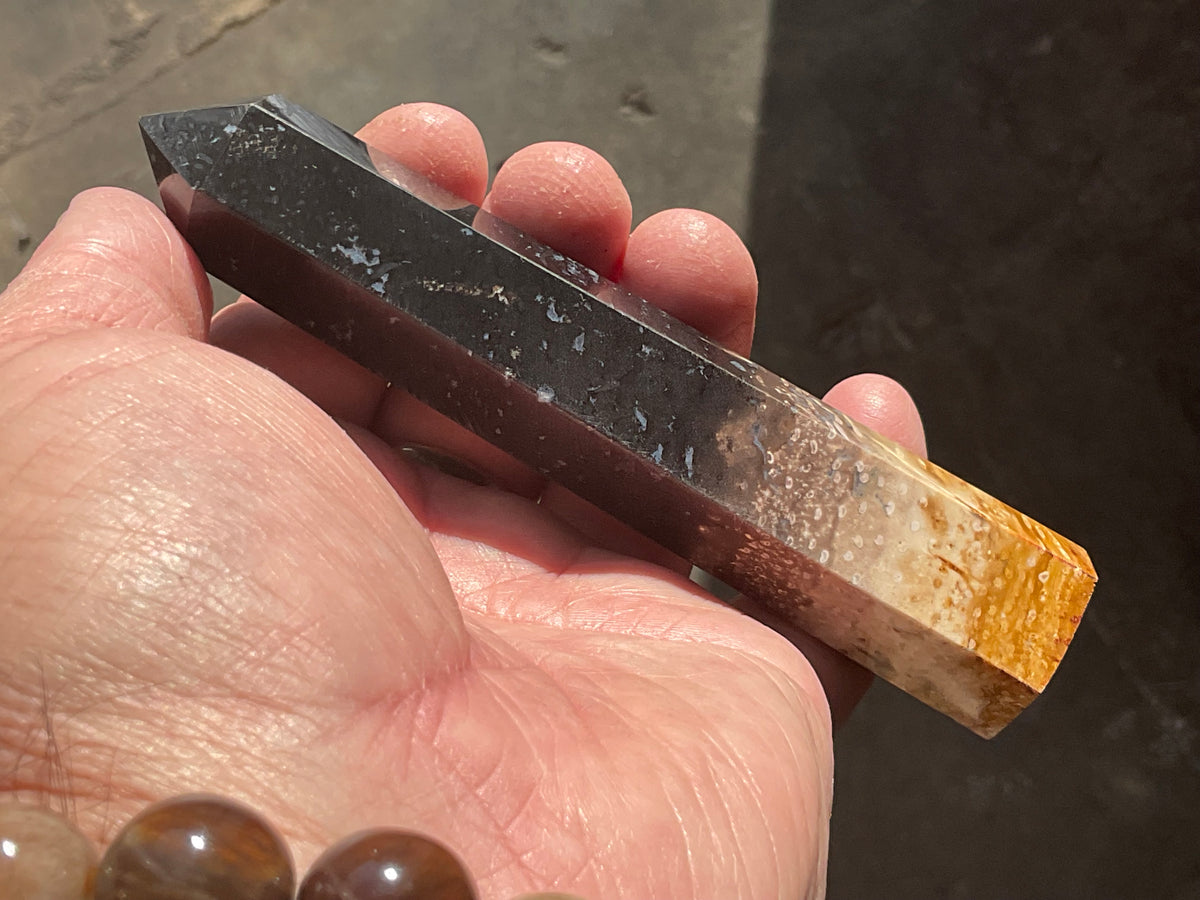118g Indonesian Fossilized Palm Root Generator B