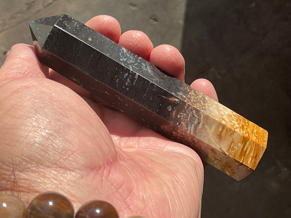 118g Indonesian Fossilized Palm Root Generator B