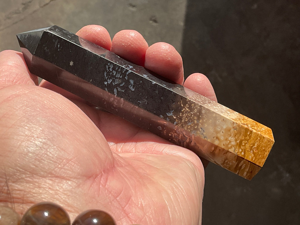 118g Indonesian Fossilized Palm Root Generator B