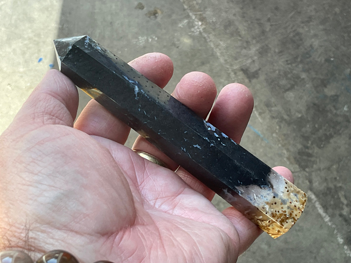 100g Indonesian Fossilized Palm Root Generator C