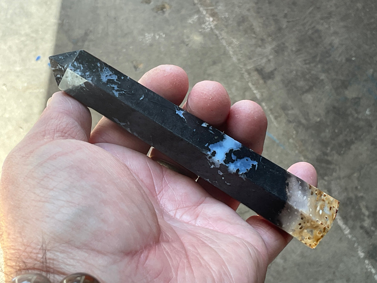 100g Indonesian Fossilized Palm Root Generator C