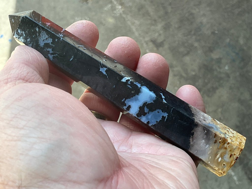 100g Indonesian Fossilized Palm Root Generator C