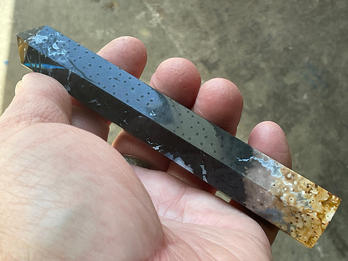 100g Indonesian Fossilized Palm Root Generator C
