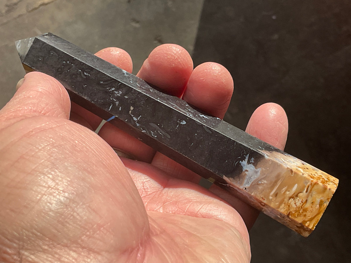 100g Indonesian Fossilized Palm Root Generator C