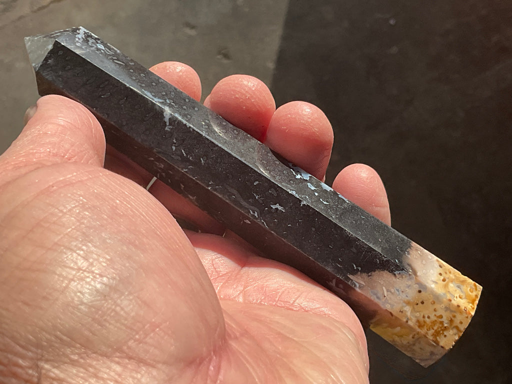 100g Indonesian Fossilized Palm Root Generator C
