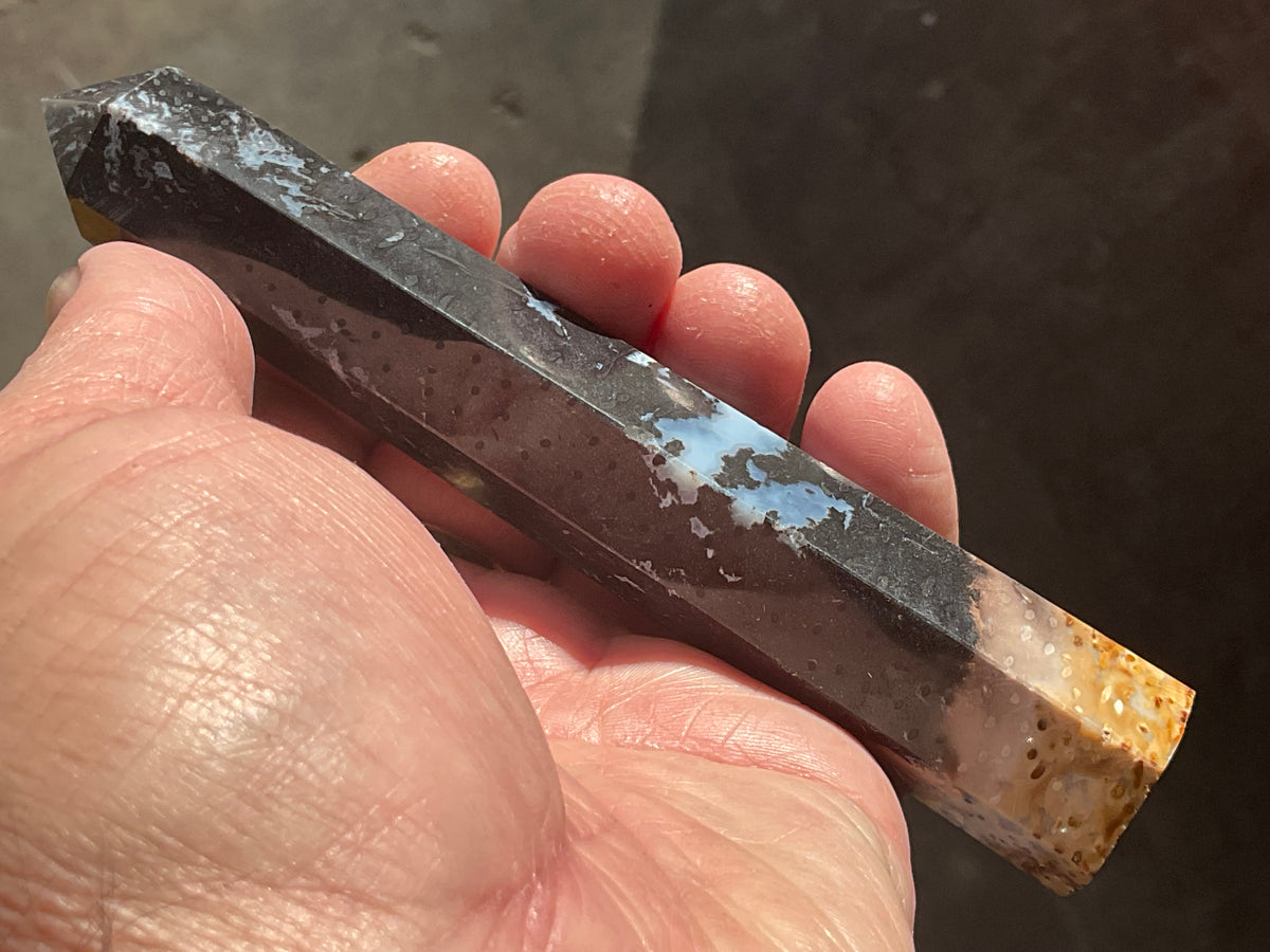 100g Indonesian Fossilized Palm Root Generator C