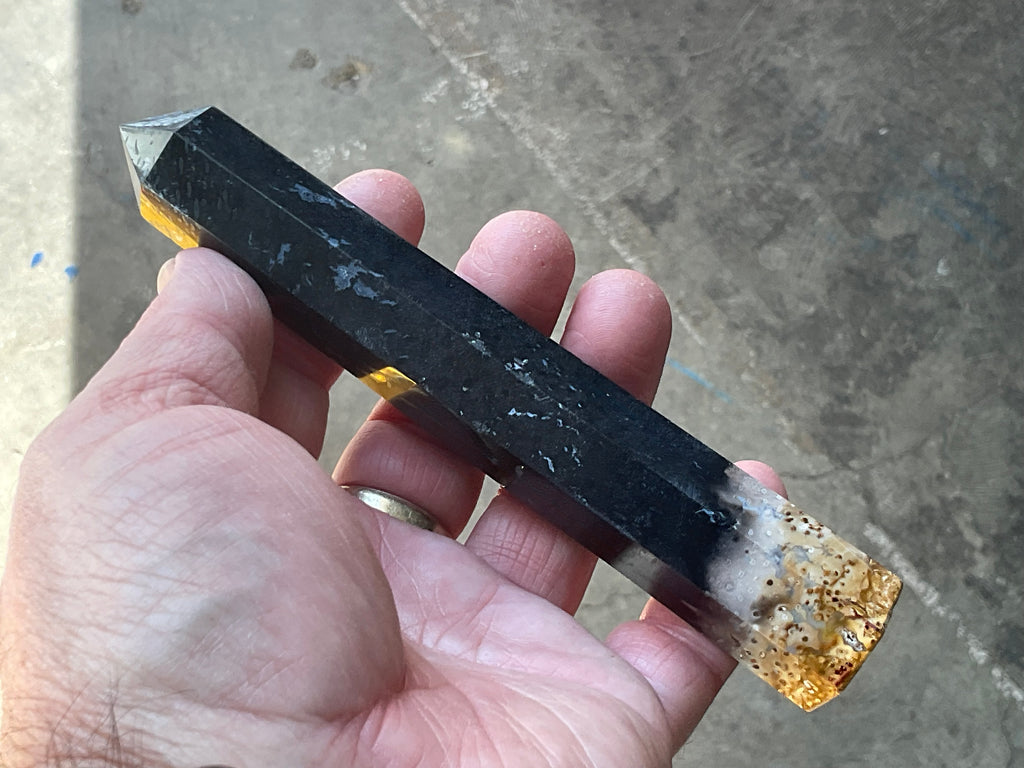 116g Indonesian Fossilized Palm Root Generator D