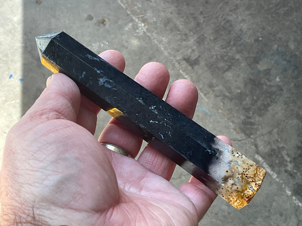 116g Indonesian Fossilized Palm Root Generator D