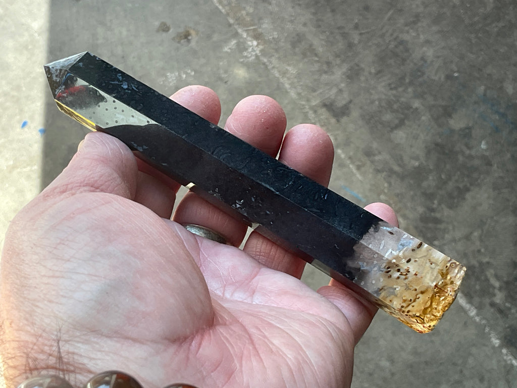 116g Indonesian Fossilized Palm Root Generator D