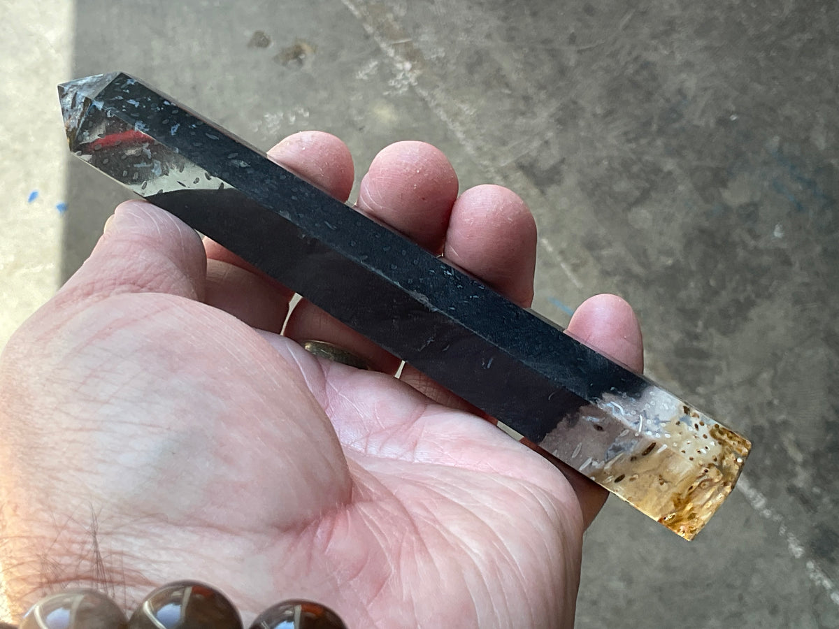 116g Indonesian Fossilized Palm Root Generator D
