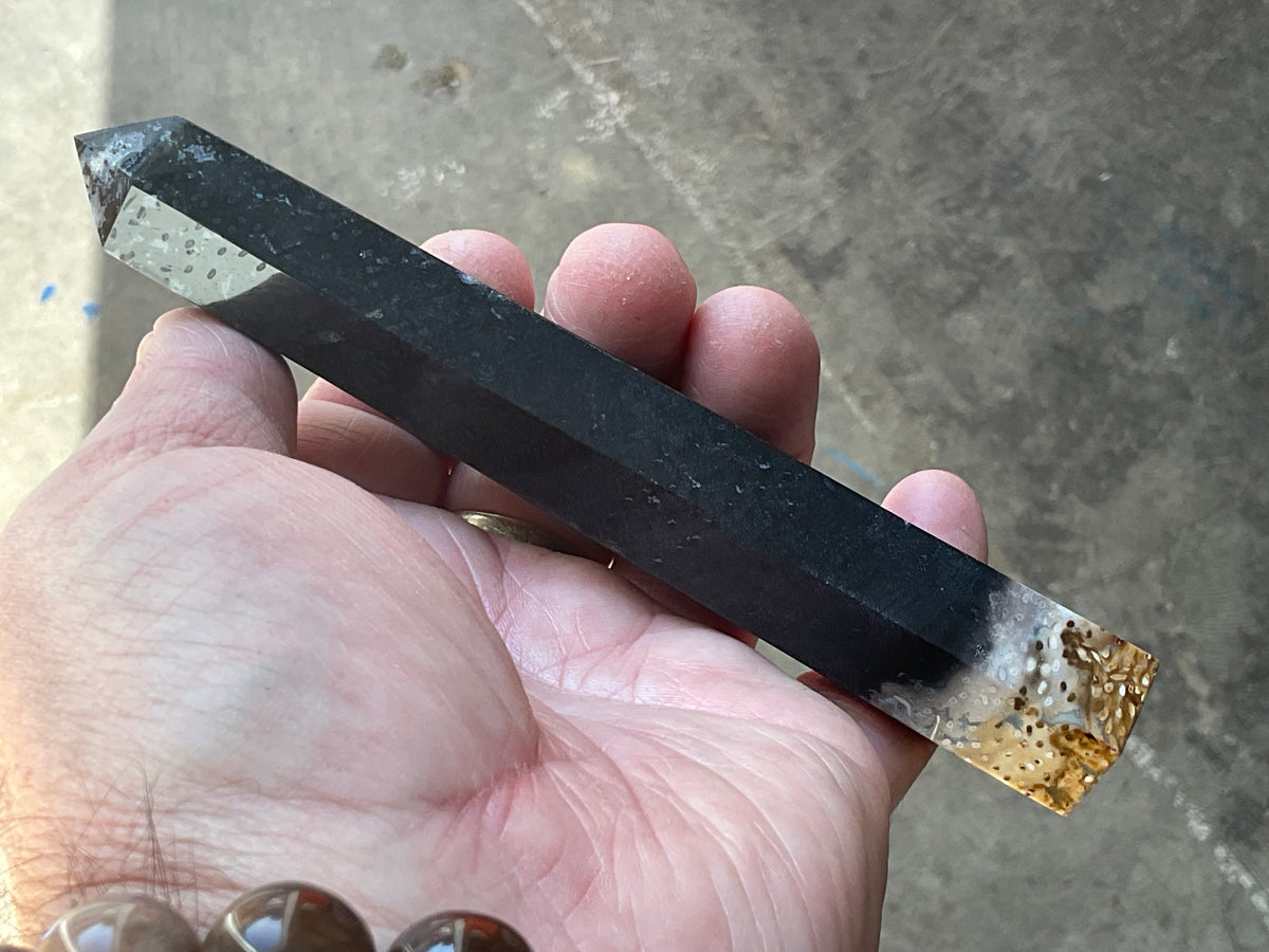 116g Indonesian Fossilized Palm Root Generator D