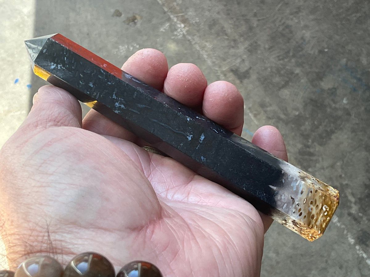 116g Indonesian Fossilized Palm Root Generator D