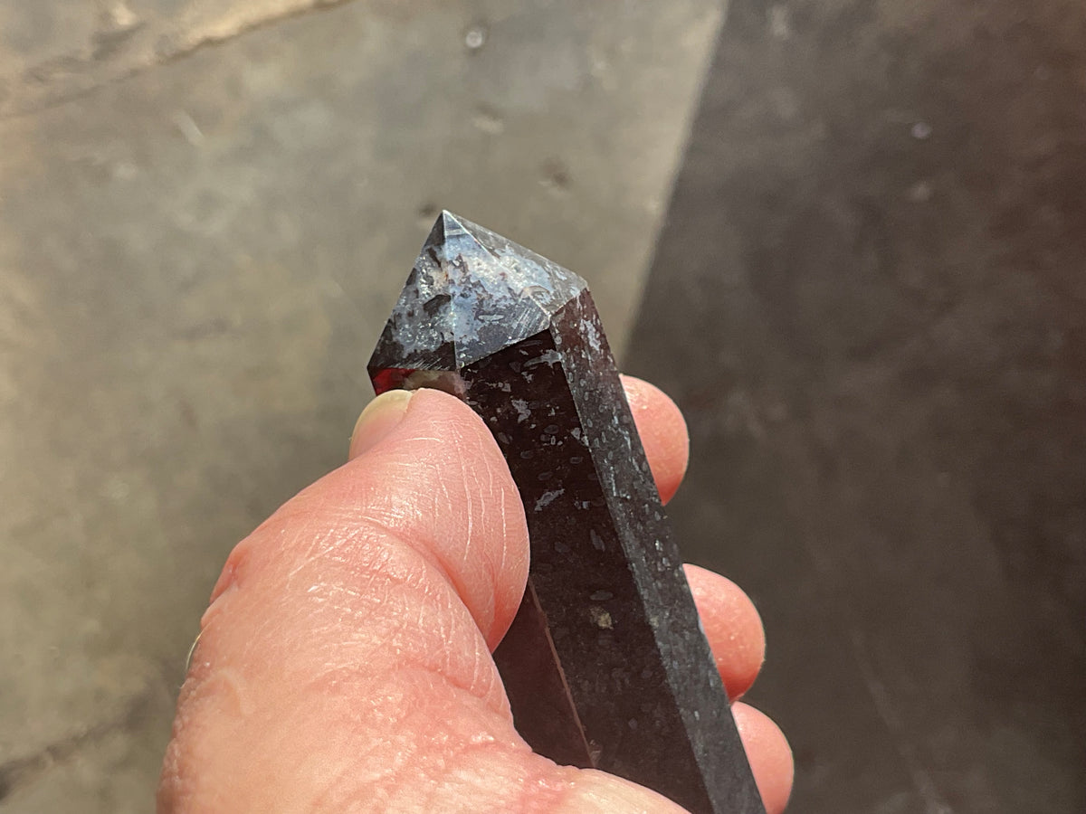 116g Indonesian Fossilized Palm Root Generator D
