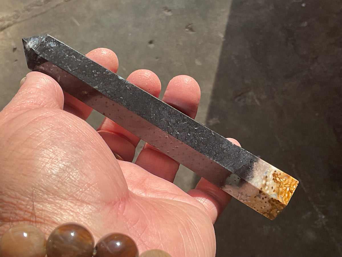 116g Indonesian Fossilized Palm Root Generator D
