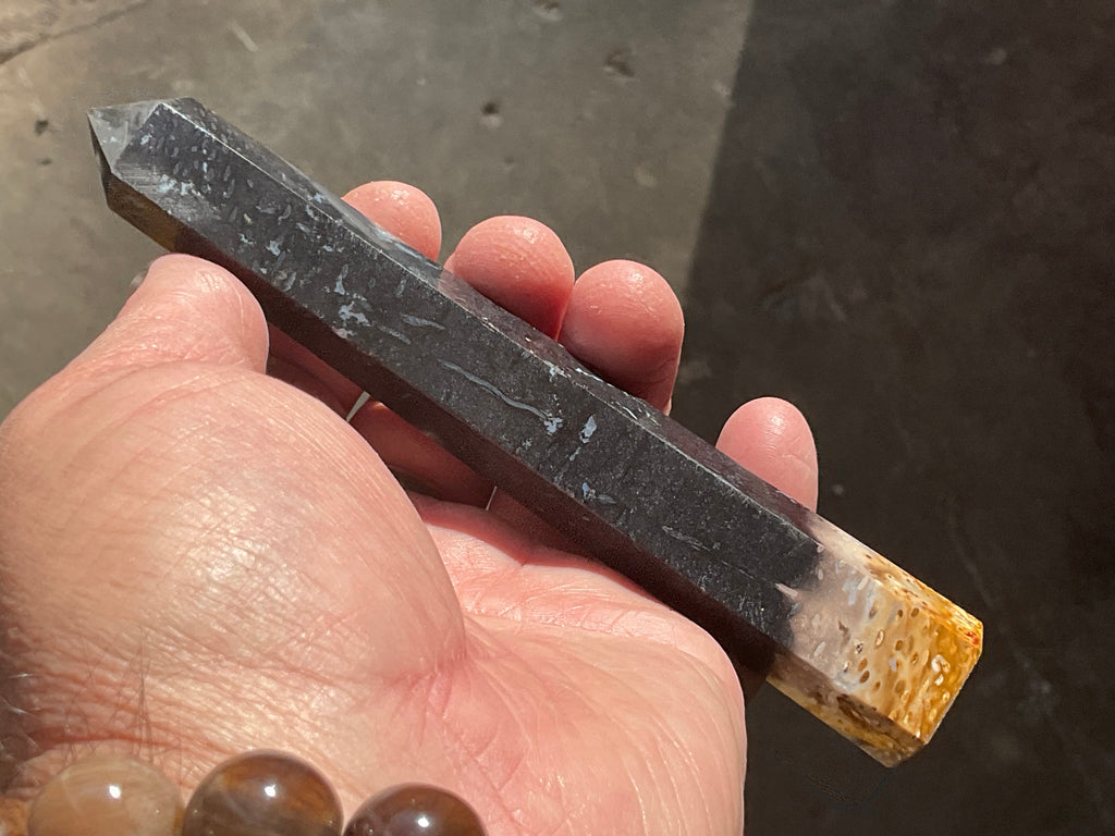 116g Indonesian Fossilized Palm Root Generator D