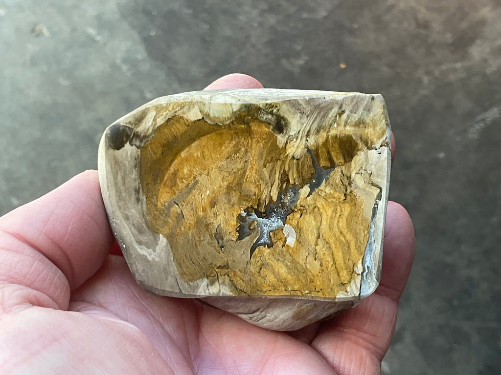 192g Australian Petrified Wood Polished Specimen