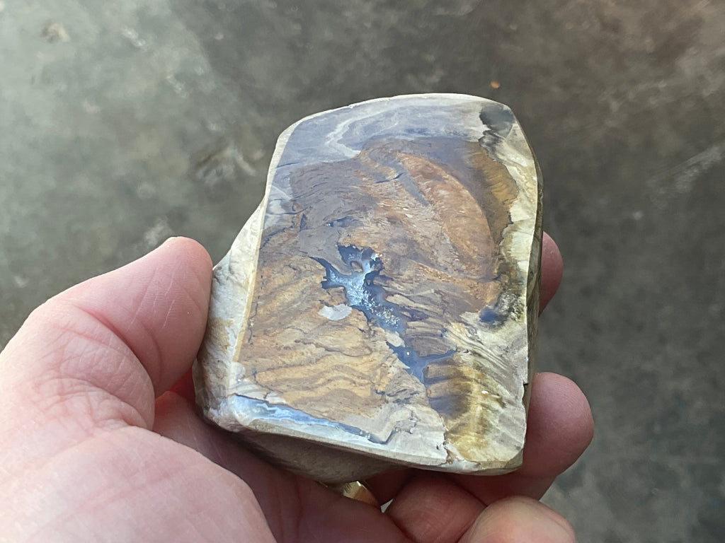 192g Australian Petrified Wood Polished Specimen