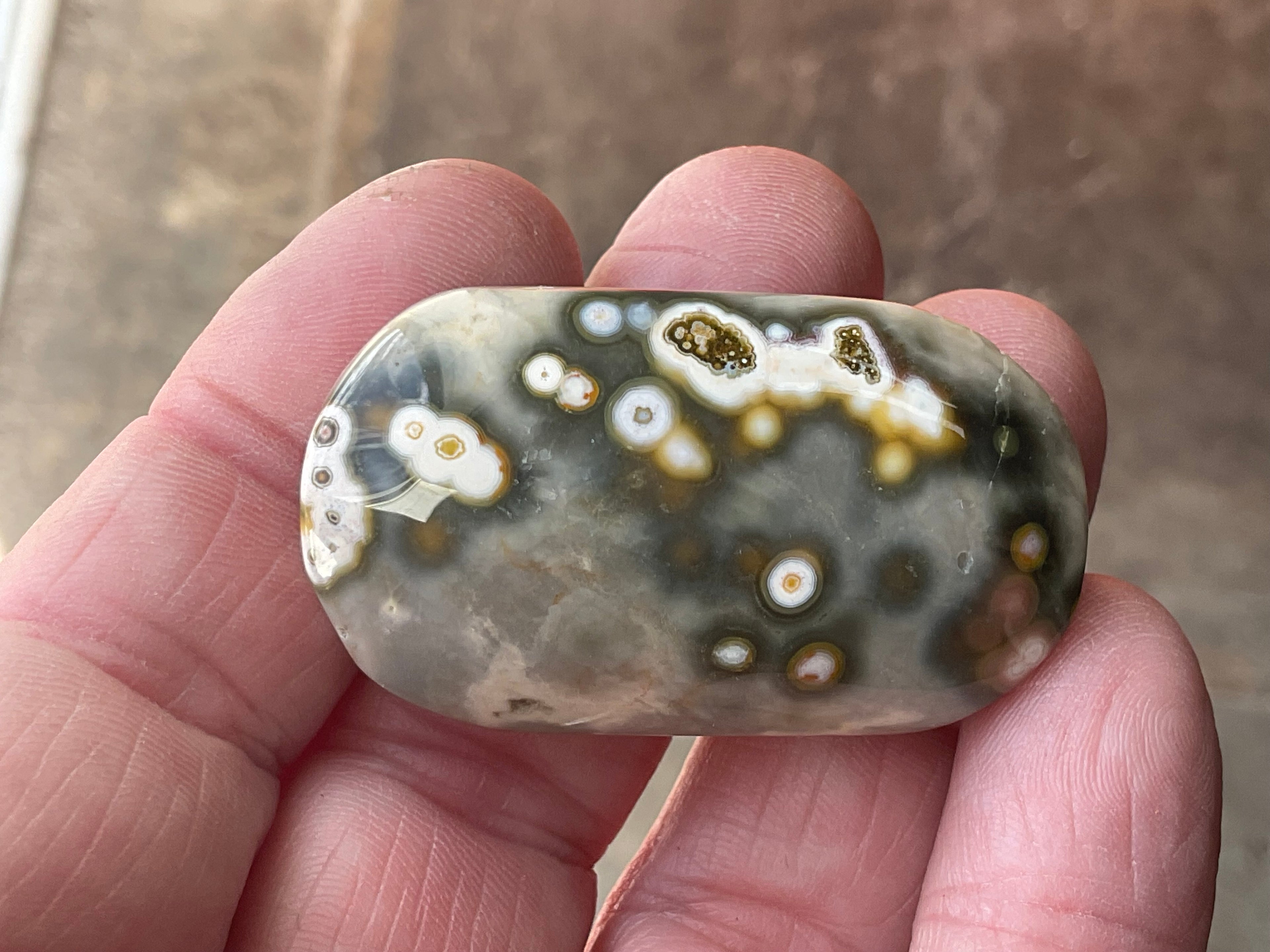 28g 8th Vein Ocean Jasper Palmstone 1B