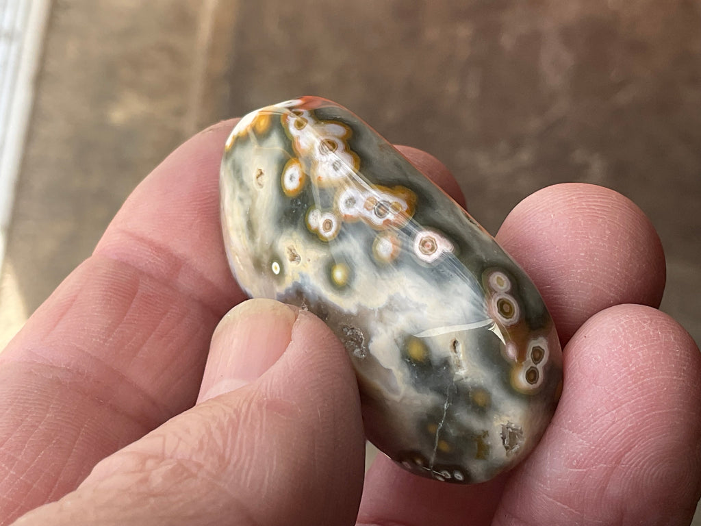 28g 8th Vein Ocean Jasper Palmstone 1B