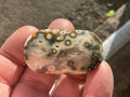 28g 8th Vein Ocean Jasper Palmstone 1B