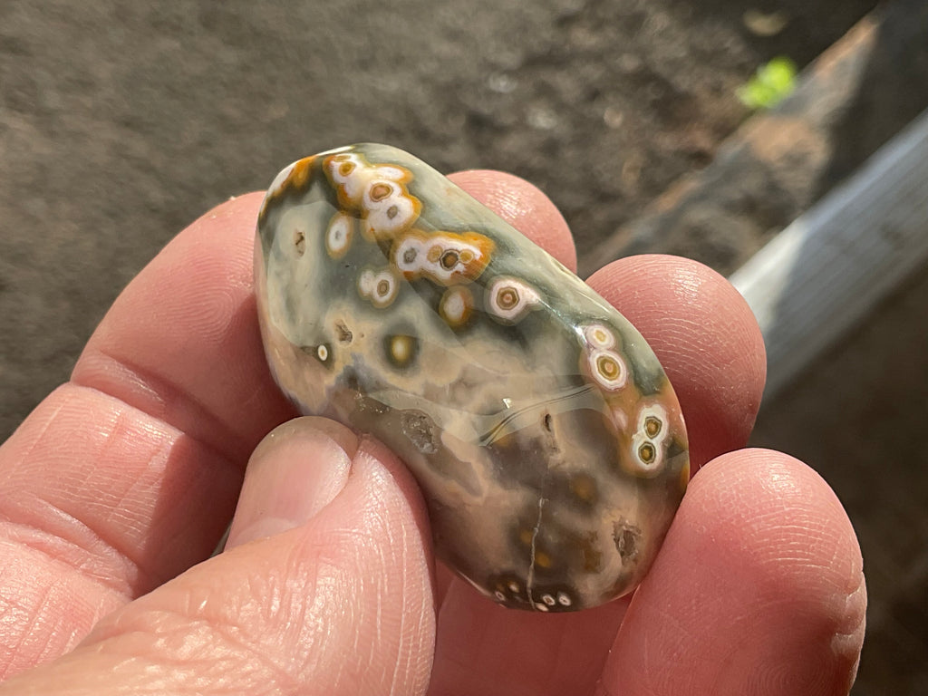 28g 8th Vein Ocean Jasper Palmstone 1B