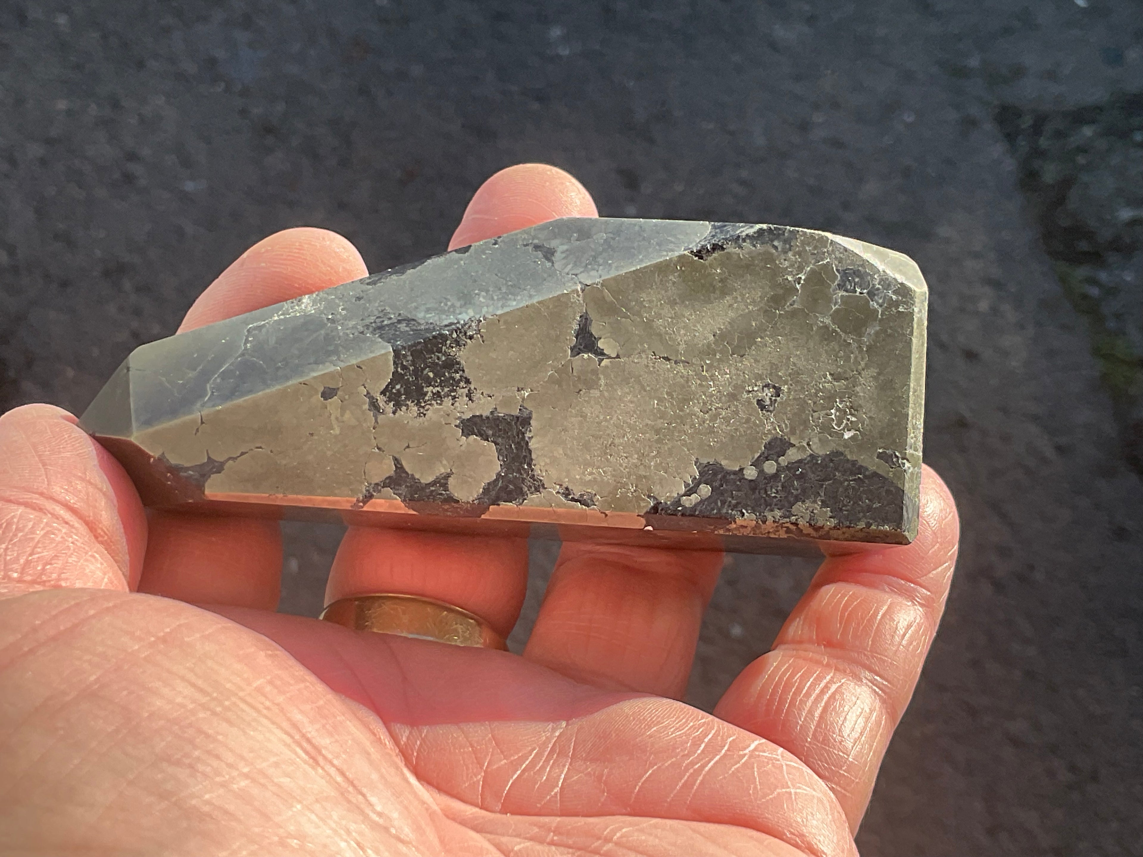 312g Polished Pyrite in Shale Freeform A