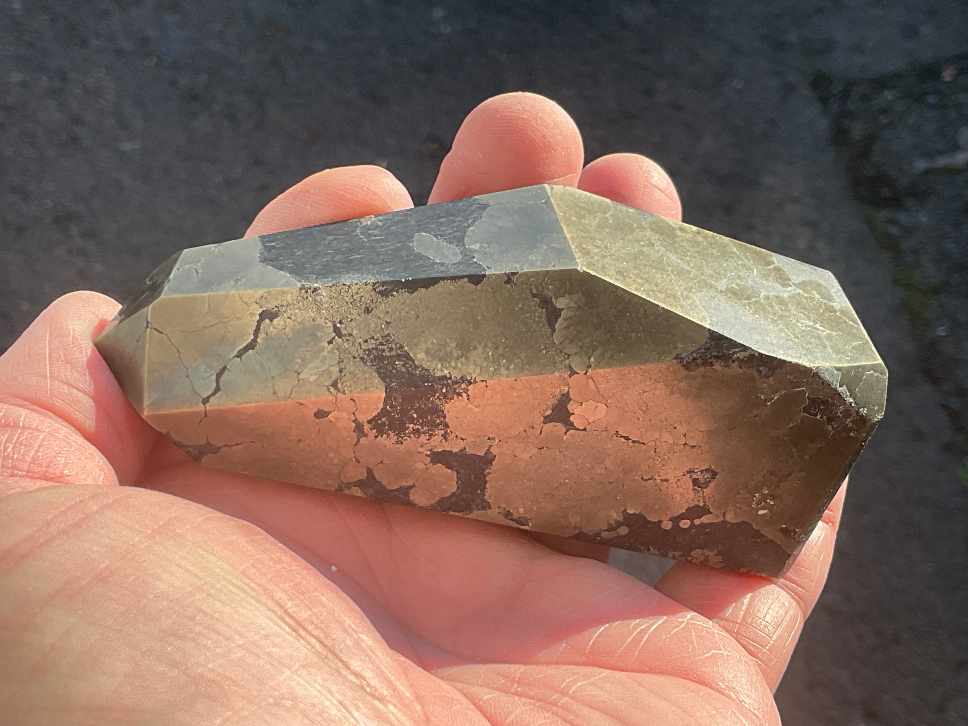 312g Polished Pyrite in Shale Freeform A