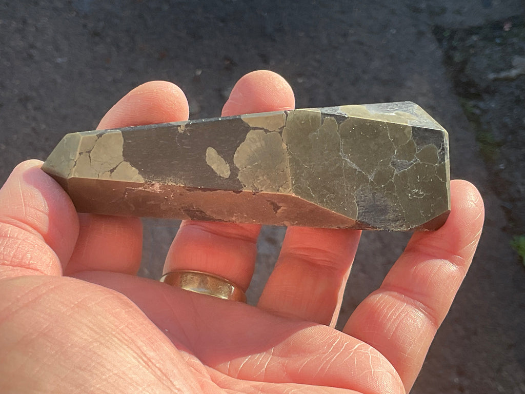 312g Polished Pyrite in Shale Freeform A