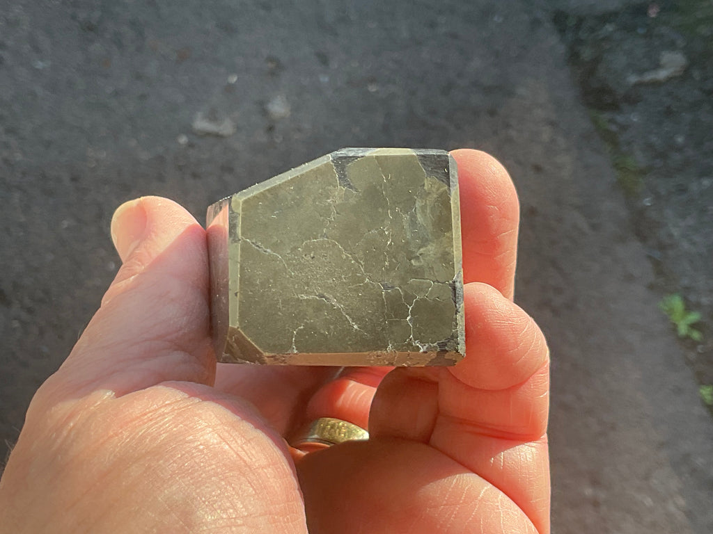 312g Polished Pyrite in Shale Freeform A