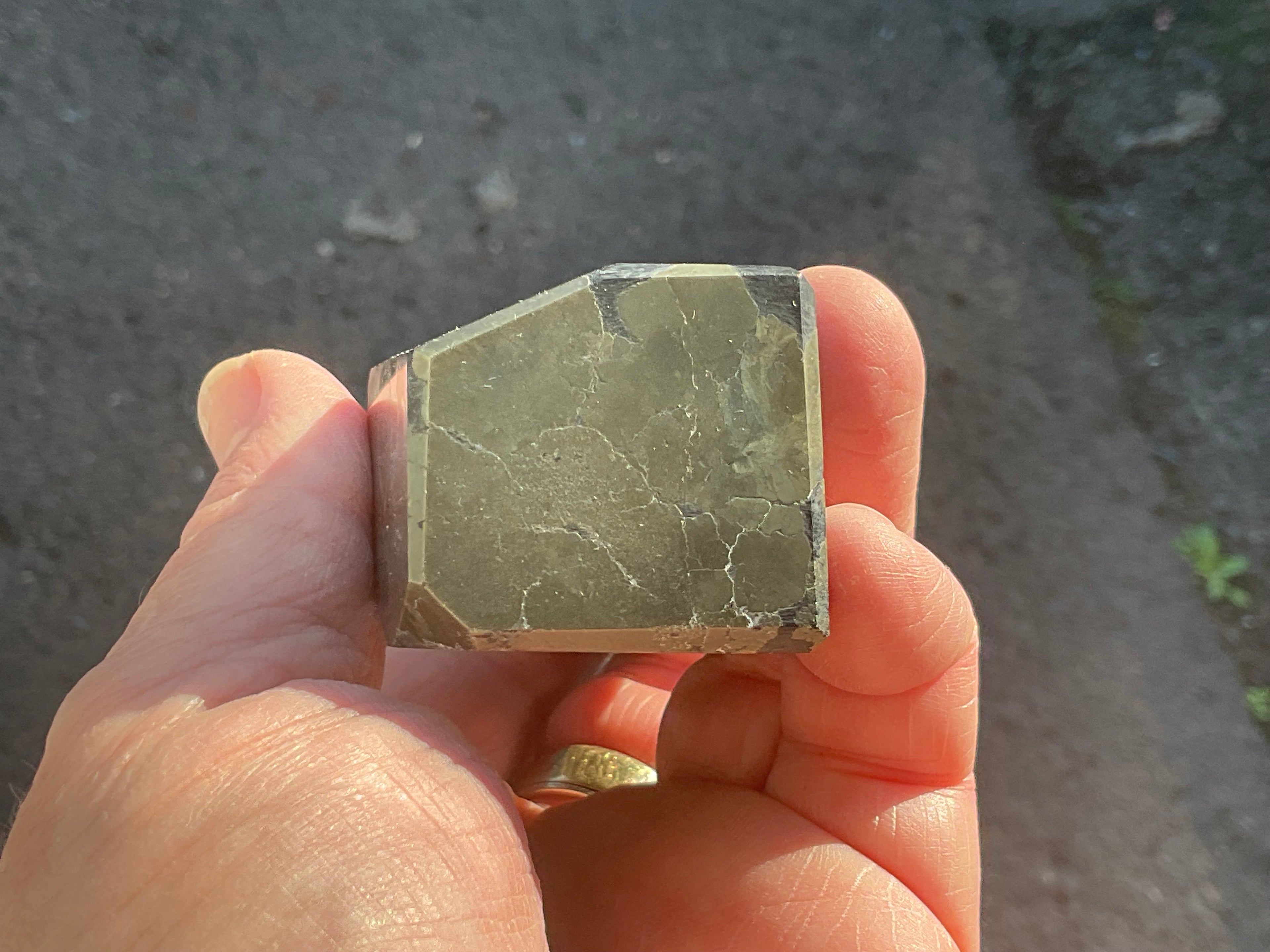 312g Polished Pyrite in Shale Freeform A