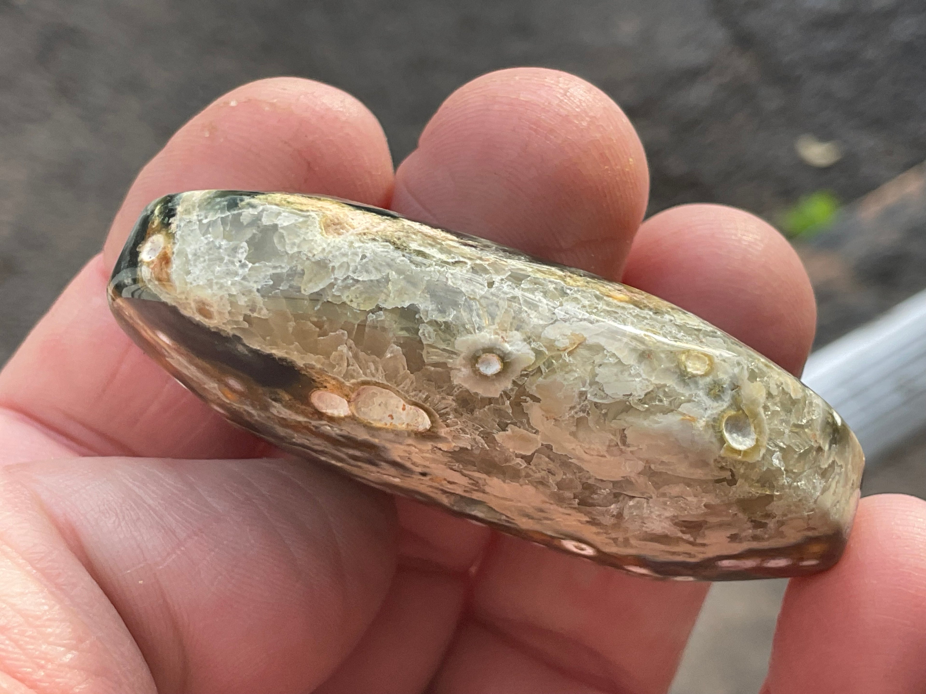 44g 8th Vein Ocean Jasper Palmstone 3C