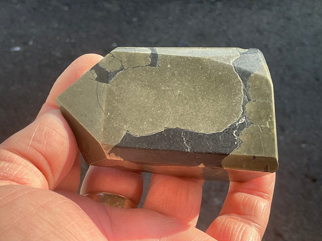 340g Pyrite in Shale Freeform B