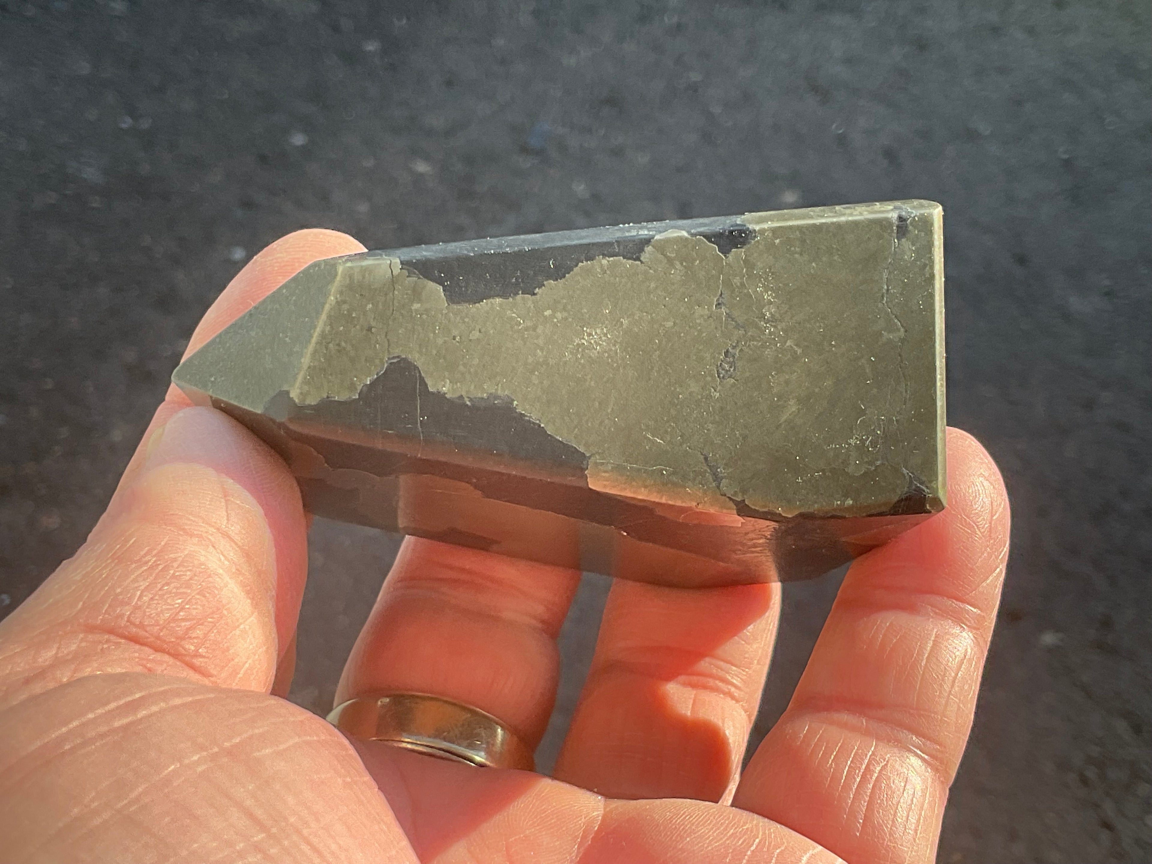 340g Pyrite in Shale Freeform B