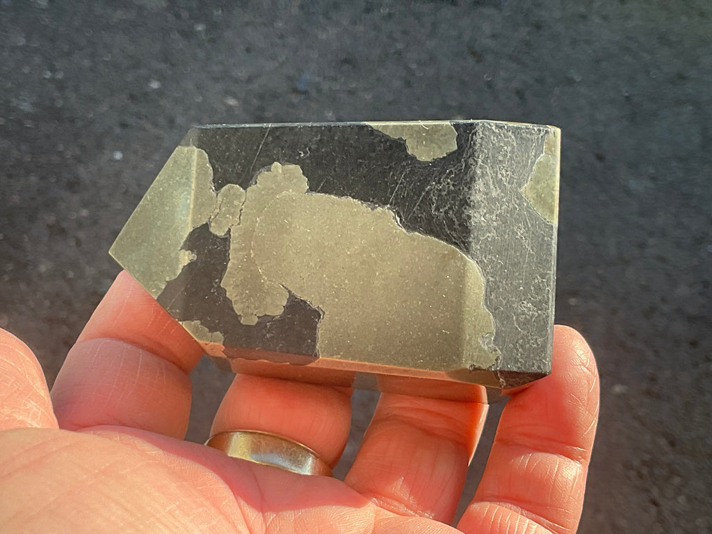 340g Pyrite in Shale Freeform B