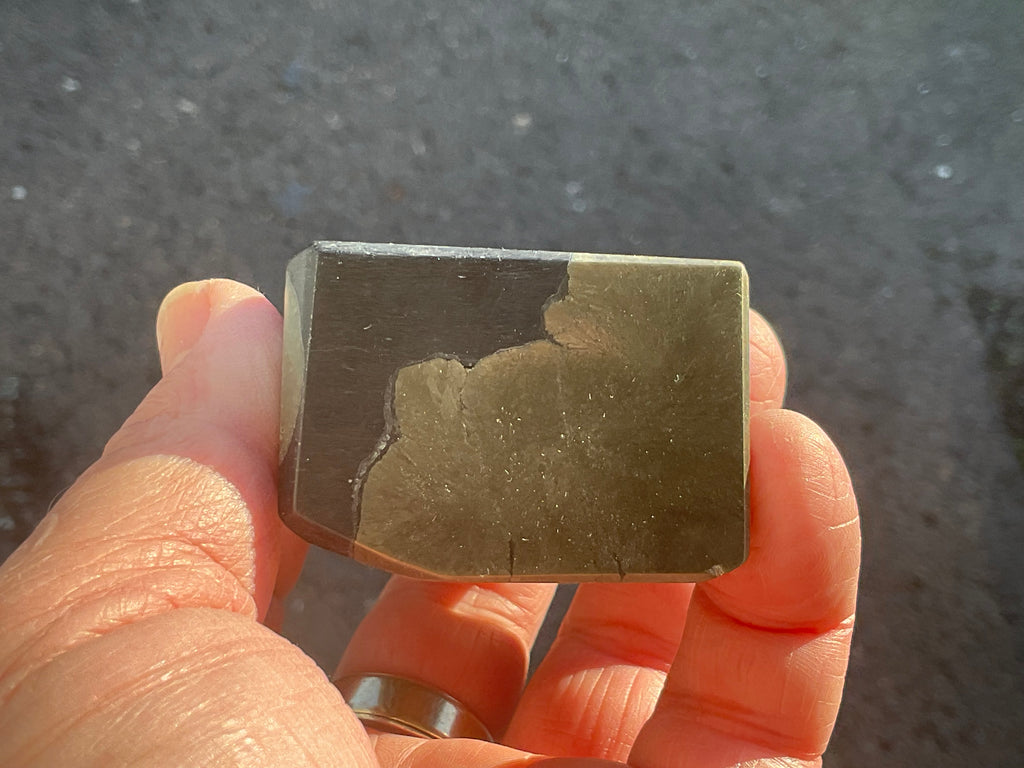 340g Pyrite in Shale Freeform B
