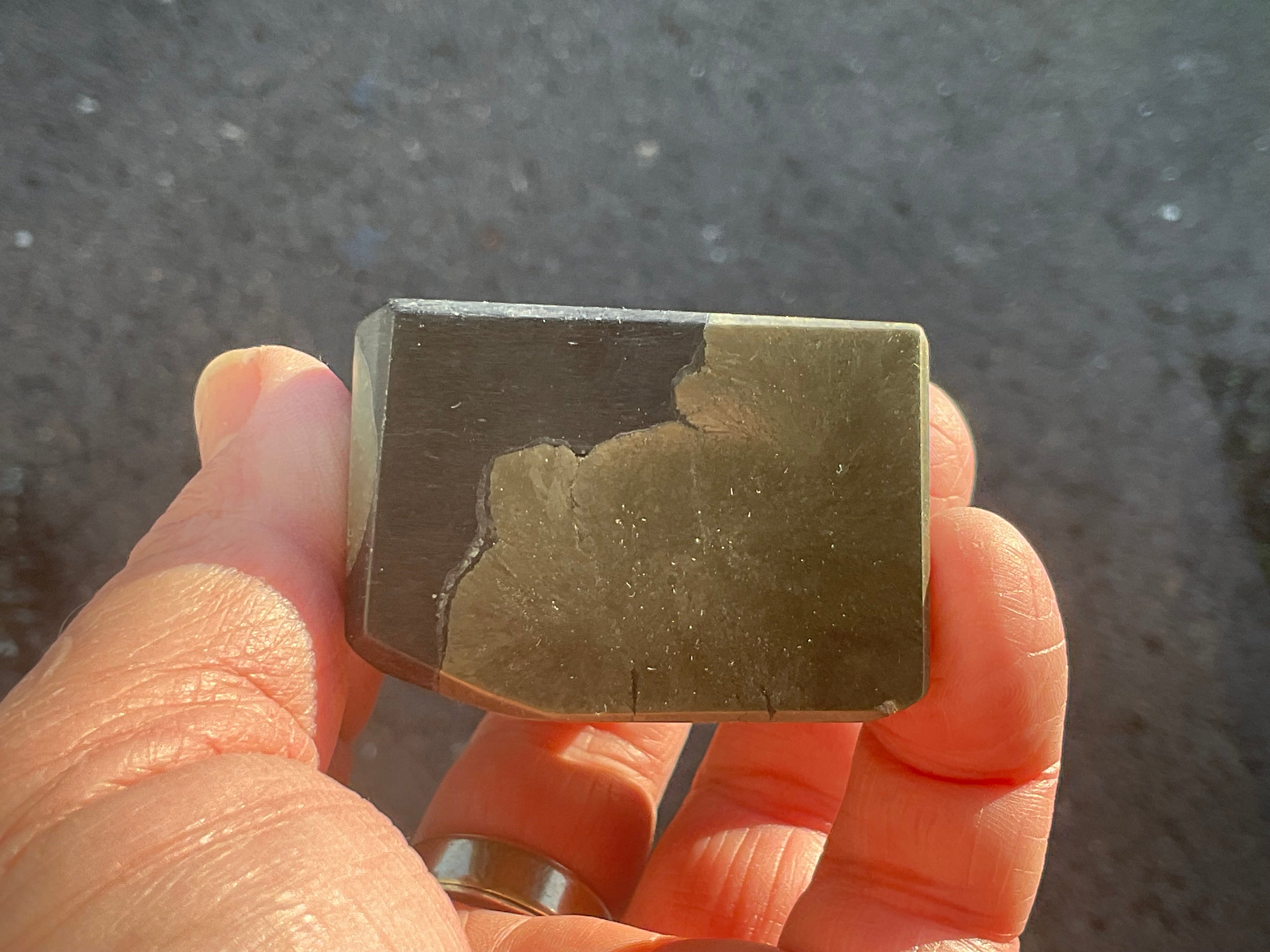340g Pyrite in Shale Freeform B