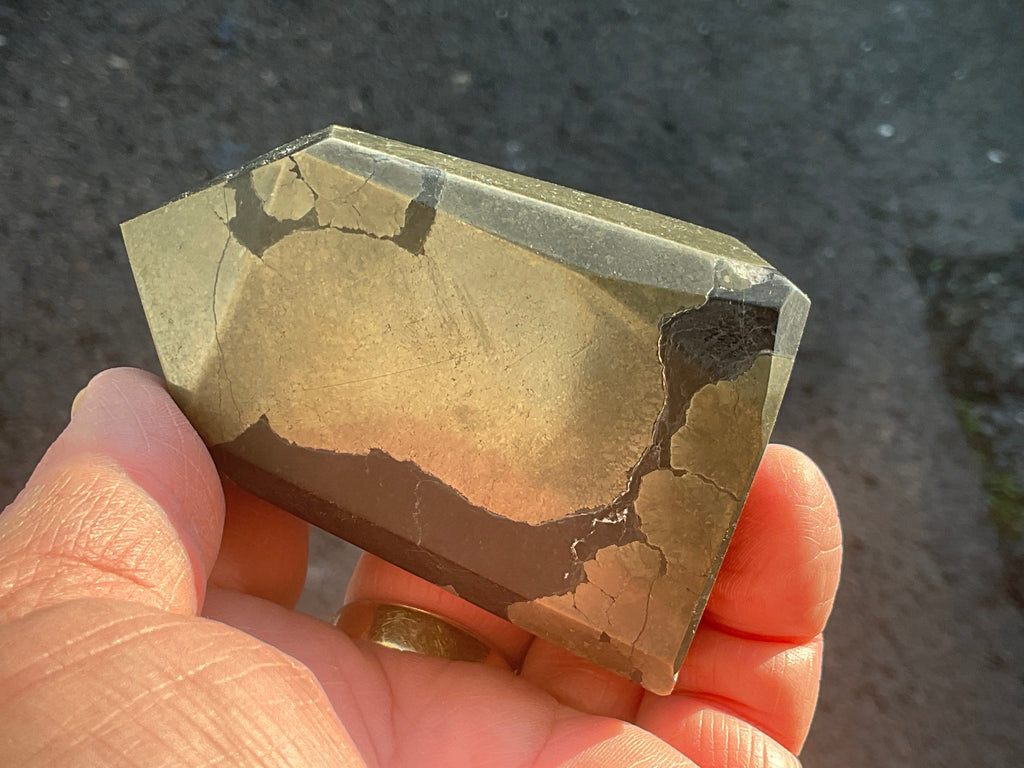 340g Pyrite in Shale Freeform B